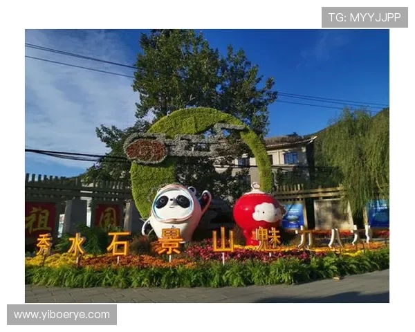 重庆极限运动队的攀岩联赛成长之路与奋斗历程全景揭秘