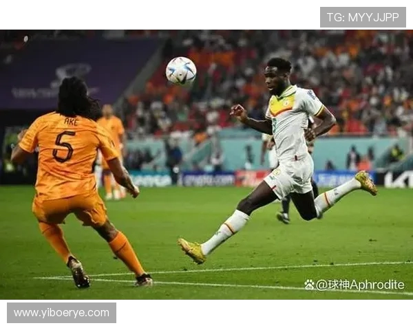 韩国与塞内加尔精彩对决回顾赛场瞬间与战术分析全记录