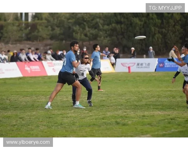 飞盘竞技风云再起成都飞盘队荣登全国第五名榜单