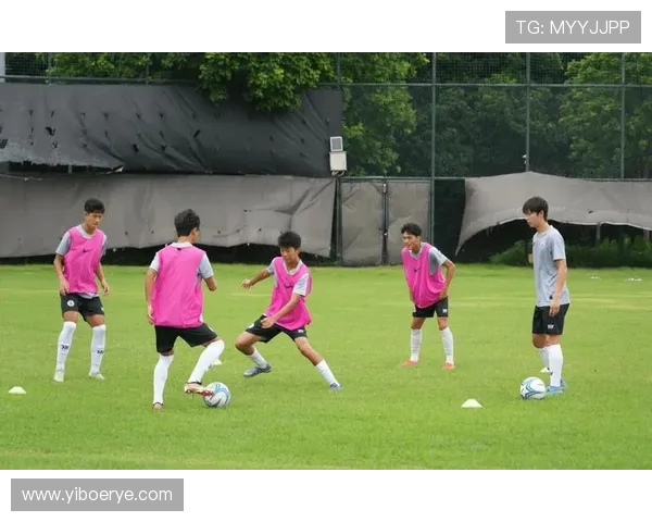 广州足球队的速度之谜：揭开球队迅猛崛起的秘密与传奇