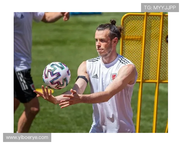 成都网球队在欧锦赛中的拼搏历程与荣耀追寻